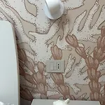 Da Delfina ゲストハウス アンツィオ